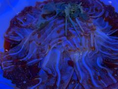 -蓝海渔湾生态园(赣榆店)