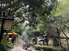 -明月山天沐温泉度假村