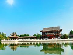 -南湖国家城市湿地公园