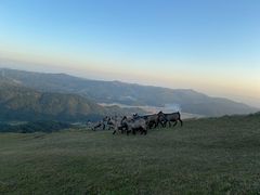 -大姆山草场
