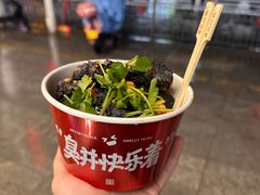 -黑色经典臭豆腐·湖南特产(坡子街店)