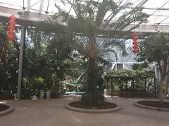 -北京植物园-展览温室