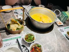 -禄婶鸡煲·打边炉