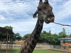 -西安秦岭野生动物园