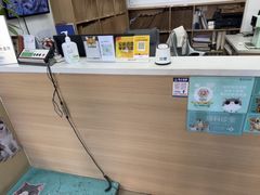 -瑞派天使宠物医院·神经外科·骨科·核磁CT(洛川中路店)