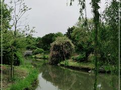 -鹅湖玫瑰文化园