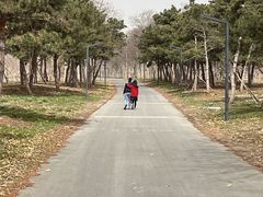 -江苏三台山国家森林公园