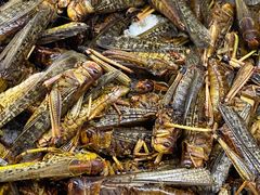 -乔岩保应烧烤店