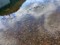 -蒋氏故居