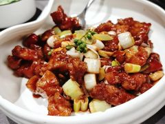 -羲和雅苑•北京烤鸭(平安国际金融中心店)