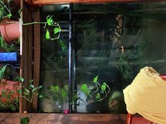 -聚缘堂·海鲜私房菜(松岭路店)