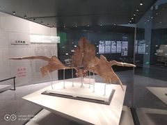 -北京周口店北京人遗址博物馆