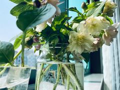 -双季花艺园艺市场(浦东店)