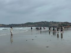 -坛南湾阿强农家乐.海鲜大排档老字号(福州地标美食店)
