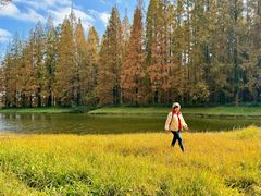 -黄海国家森林公园