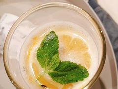 -飞行喵MR PILOT|猫舍·猫咖(静安大融城店)