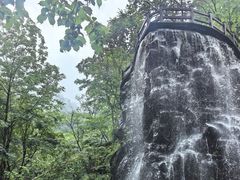 -凤凰山国家森林公园