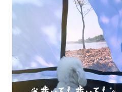 -三岔湖景区