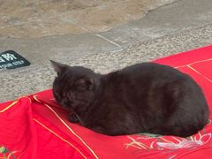 -龙华素斋(龙华路店)