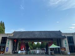 -上海海湾国家森林公园