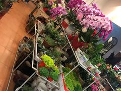 -双季花艺园艺市场(浦东店)