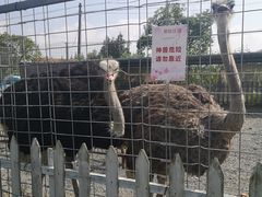 -上海长兴岛郊野公园