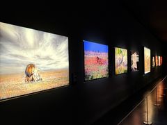 -罗红摄影艺术馆