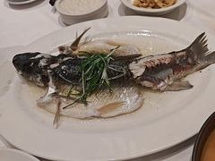-稻香酒家·35年老字号(侨光店)