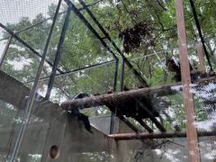 -合肥野生动物园