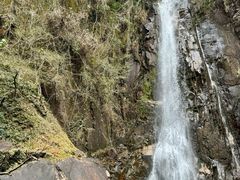 -姑婆山旅游区