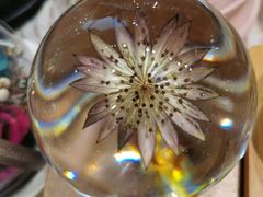 -谷莠子花艺·气球派对·绿植造景·花艺沙龙(金光华广场店)