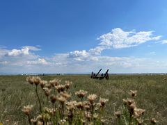 -敕勒川草原文化旅游区