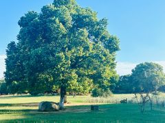 -艾溪湖湿地公园