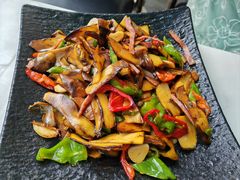 -蘑统田下·野生菌火锅