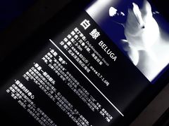 -大连圣亚海洋世界