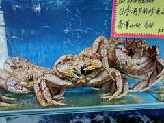 -蚝专家(北滘店)