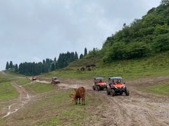 -武陵山森林公园
