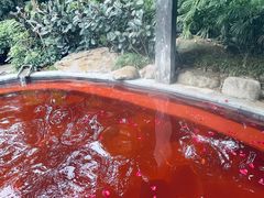 -融汇温泉