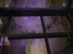 -汉景帝阳陵博物院