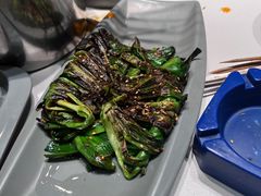 -二发烧烤(亚麻厂店)