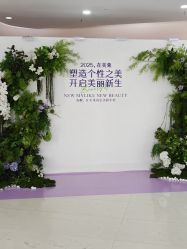 -广州美莱医疗美容医院
