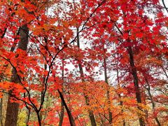 -关门山森林公园