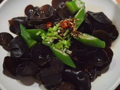 爽口木耳-晋家门(文峰广场店)
