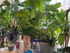 -懒人盐府人家(航天桥店)