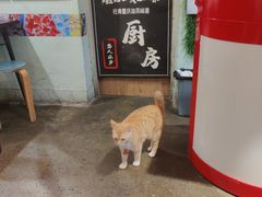 -大王油茶(磁器口店)