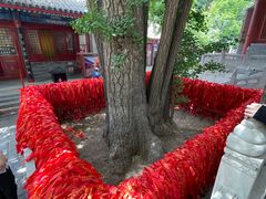 -红螺寺