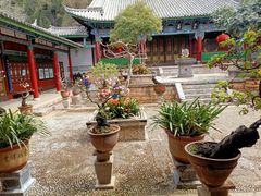 -黑龙潭公园