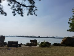 -东湖落雁景区
