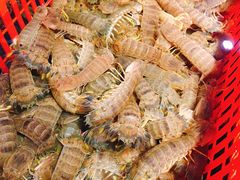 -79号渔船海鲜饭店(华强北店)