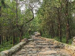 -阳台山自然风景区